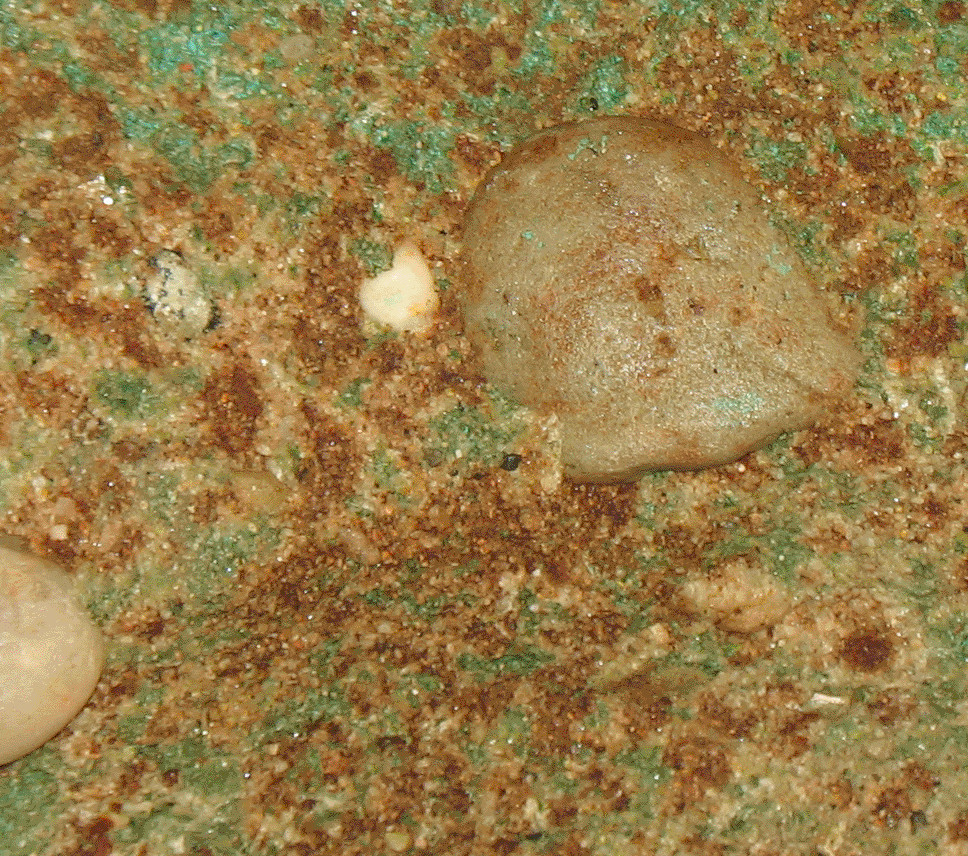 Iron oxides and malachite in conglomerate with quartz pebbles Iron oxides and malachite in conglomerate with quartz pebbles