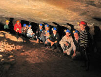 A led trip into Wood Mine