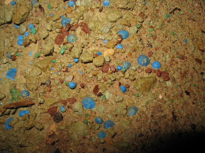 Azurite spherules in Engine Vein Azurite spherules in Engine Vein