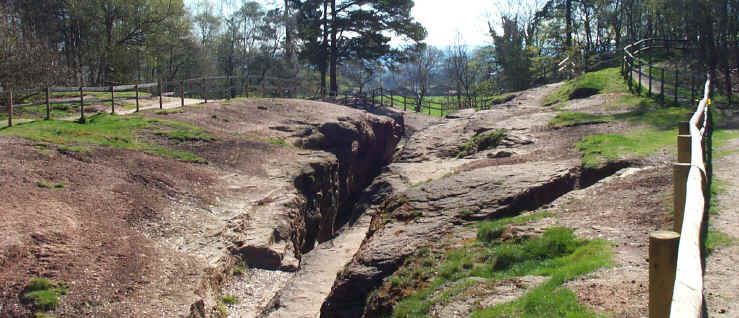 Engine Vein Engine Vein