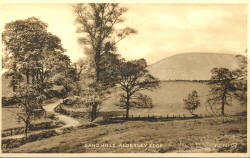 The Sandhills from an old postcard (click to enlarge) The Sandhills from an old postcard