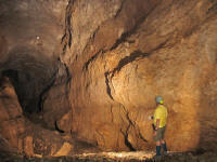 Nigel in Coquisera Nigel in Coquisera