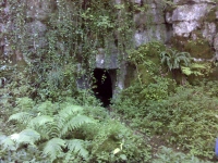 Picture 7: Groaning Tor Level Picture 7: Groaning Tor Level