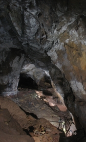 Main Chamber Engine Vein Main Chamber Engine Vein