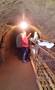 Stockport air raid shelters Stockport air raid shelters